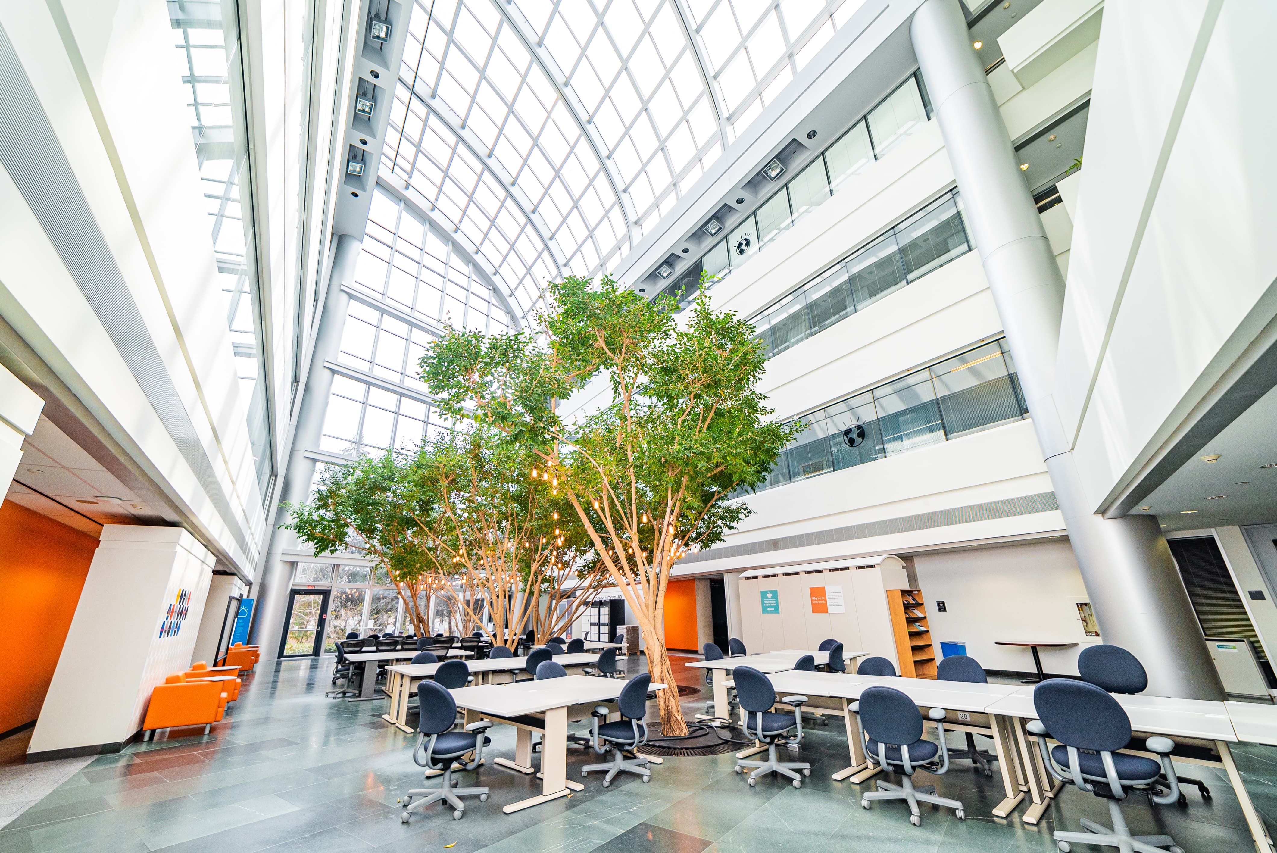 Professional consultancy meeting